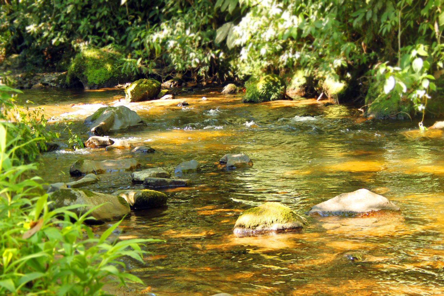 Beautiful ecolodge/retreat