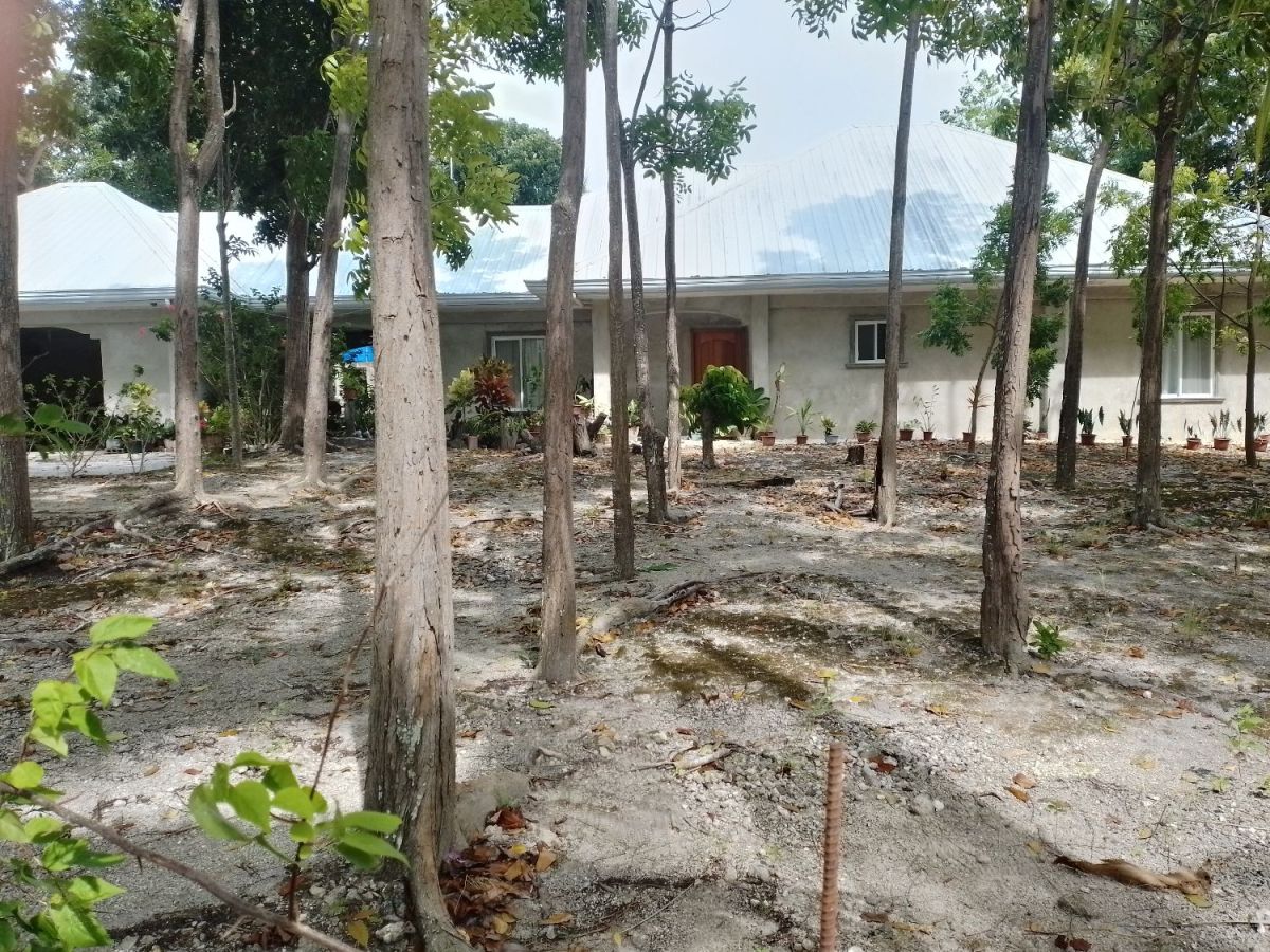 House and lot for sale clear title. mahogany tree plantation p9,900,000