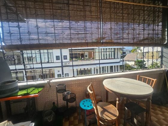 Stangee Place - Quiet Street behind Main Action of Katong