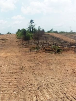 Terrain 1000 m2 approuvé à Azaguié