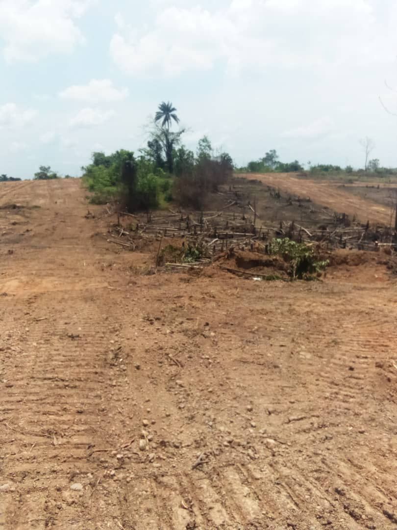 Terrain 1000 m2 approuvé à Azaguié