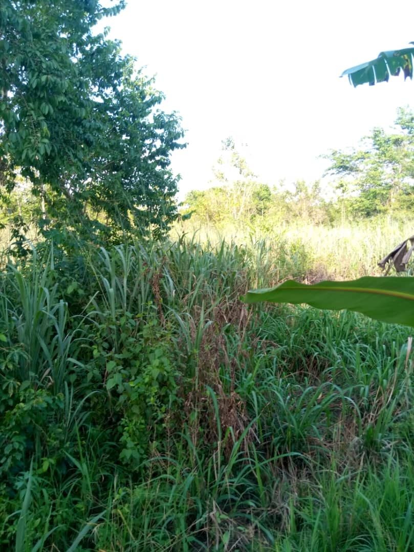 Location terrain 5000 m2 à Yakassé-mé