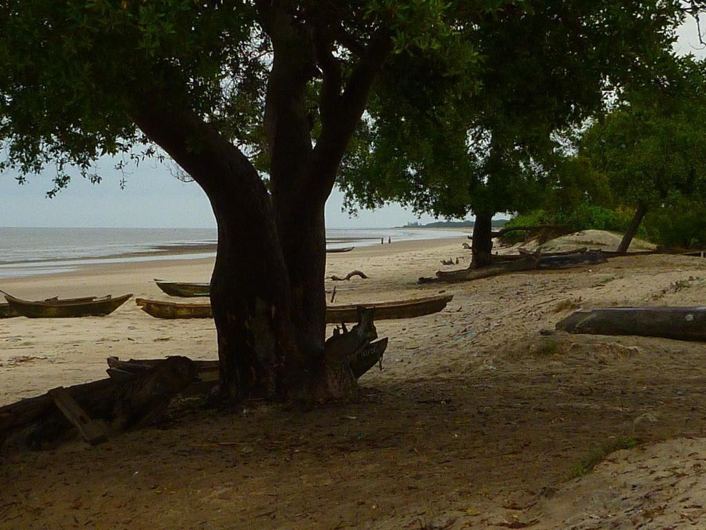 Seafront beach plots for sale, Land for sale Tanzania