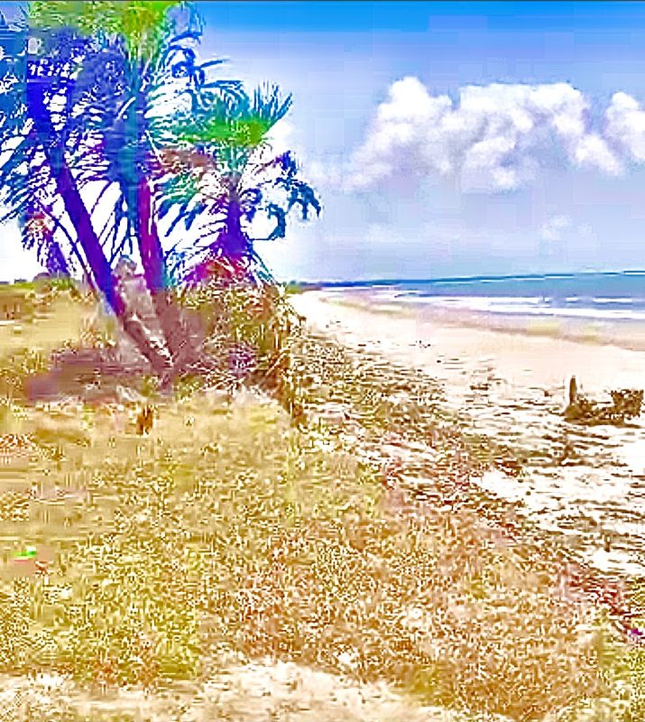 Seafront beach plots for sale, Land for sale Tanzania