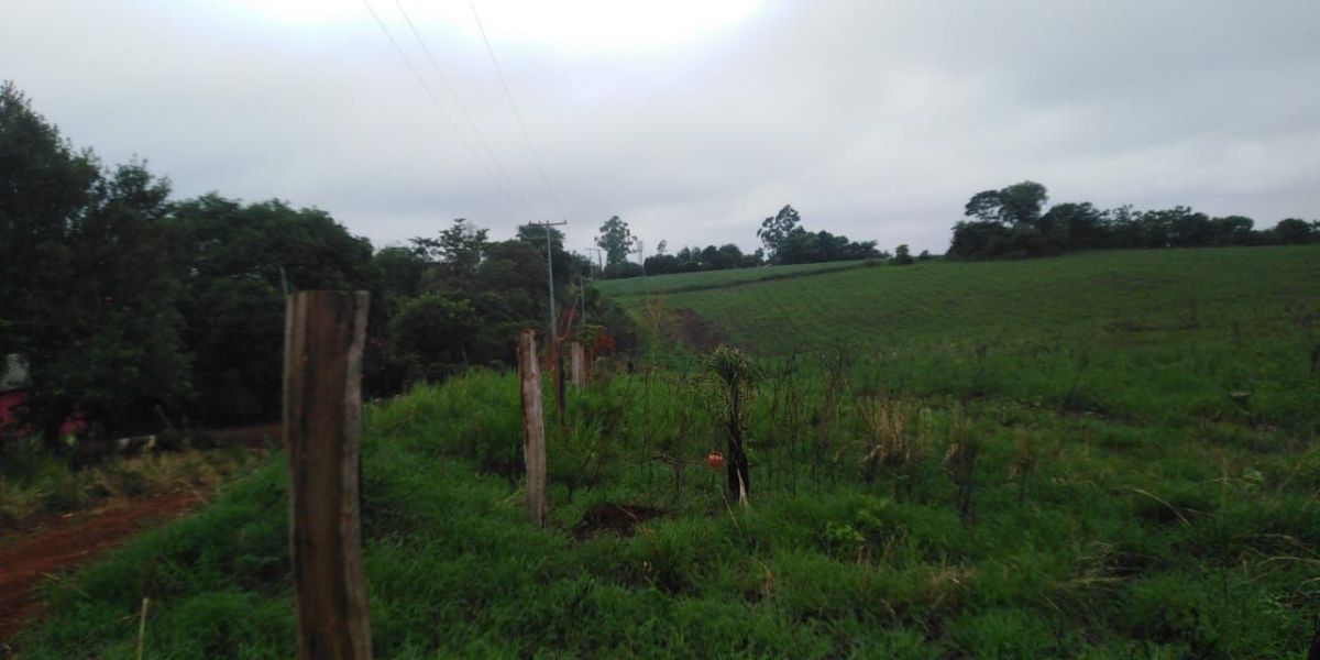 Land of 40 hectares (400,000 m2) to buy in alto verá itapúa, paraguay