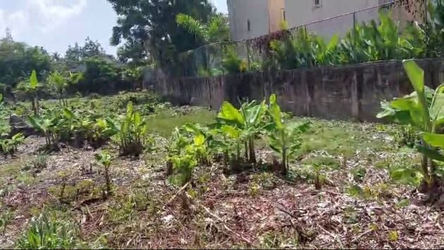 Rare plot near the center and beach of Las Terrenas