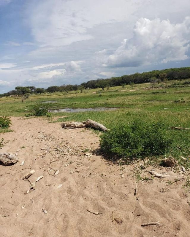 Land for sale land for tourism, recration, beach land, Simiyu Tanzania
