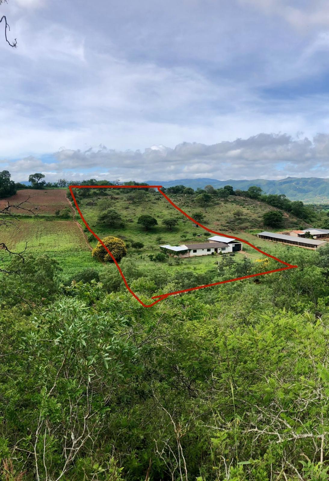 Maison et petite propriété à vendre