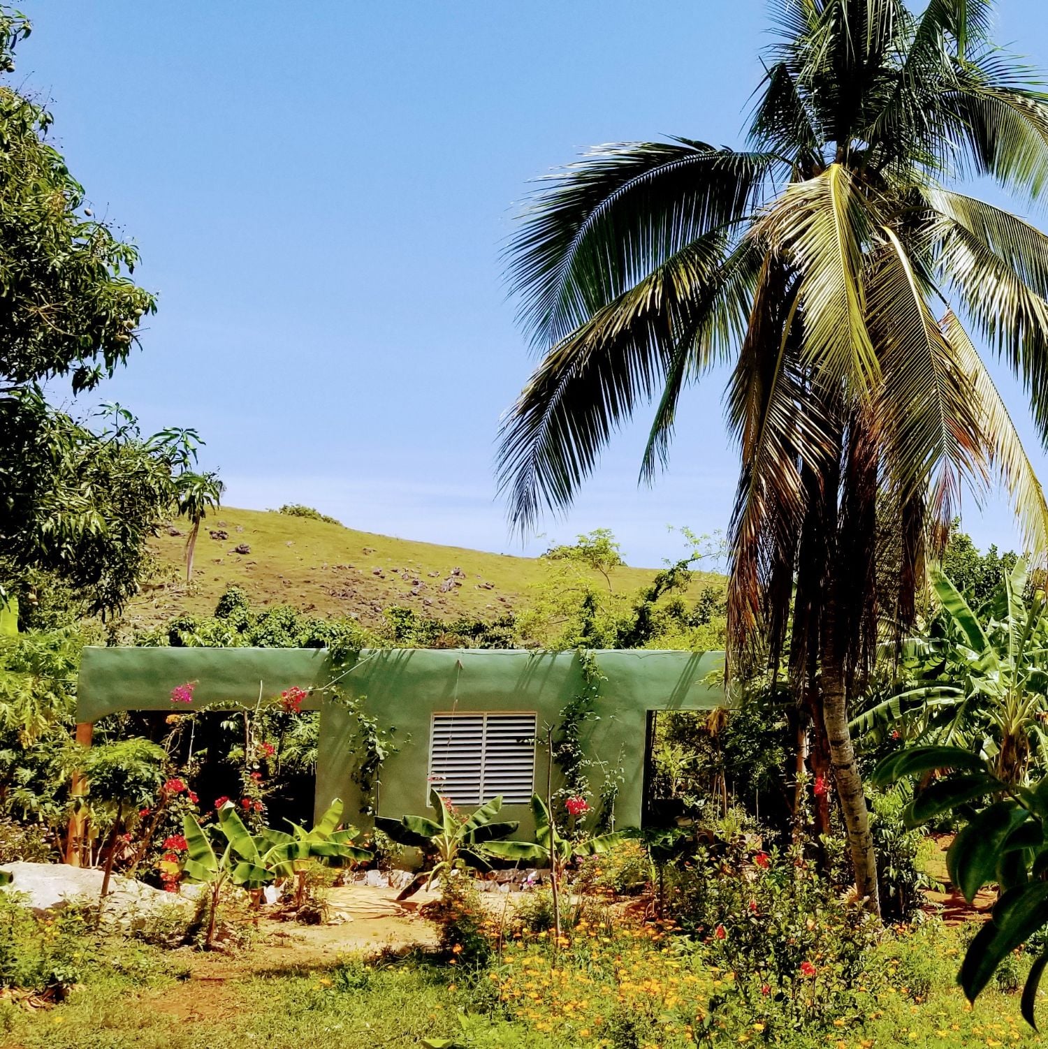 Azienda frutticola biologica in vendita