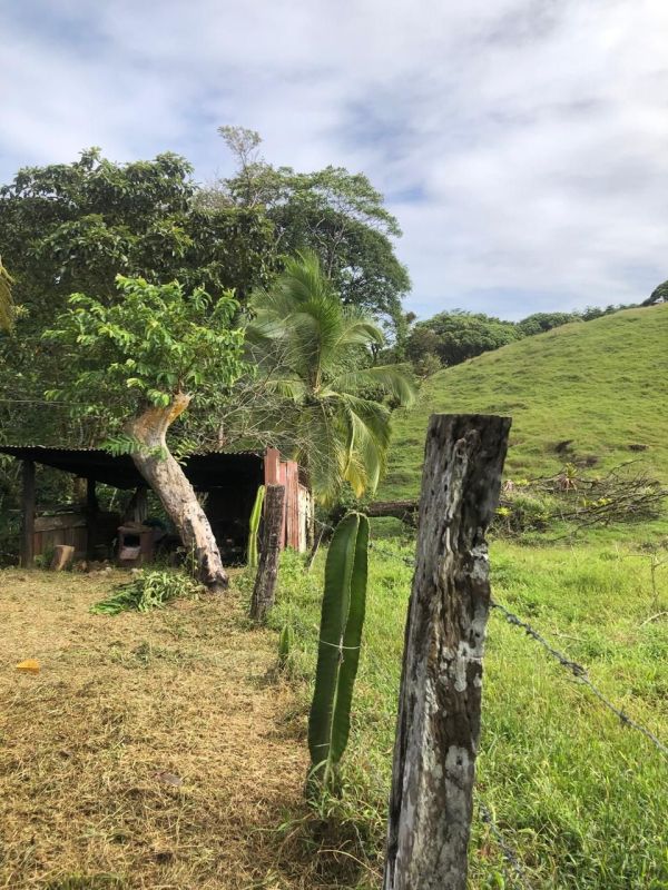 Beautiful farm, Land for sale Costa Rica