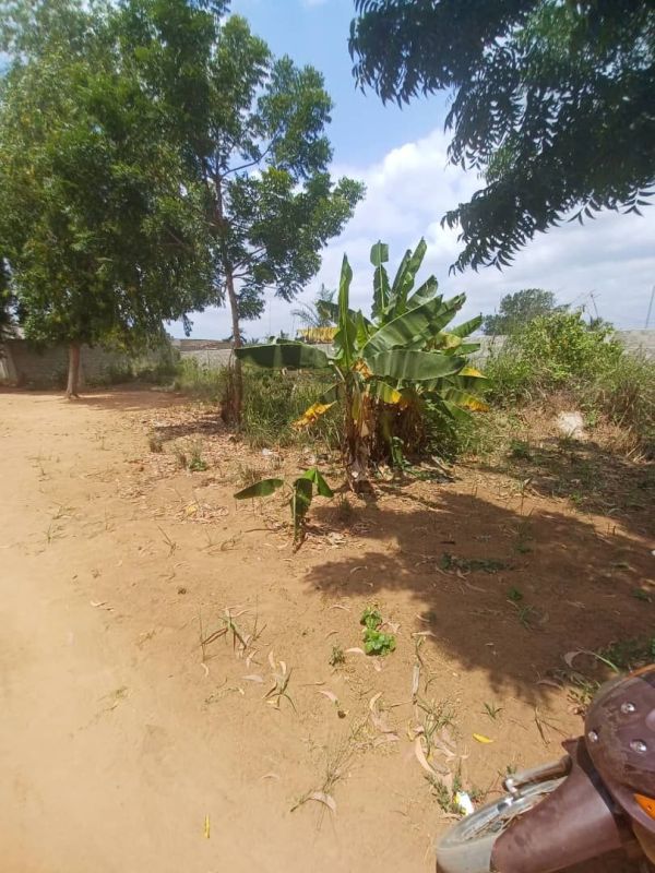 A plot of land plus a room and sand in zaguera agokpanou , Land for