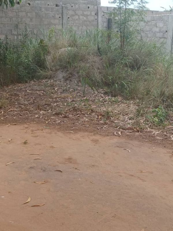 A plot of land plus a room and sand in zaguera agokpanou , Land for