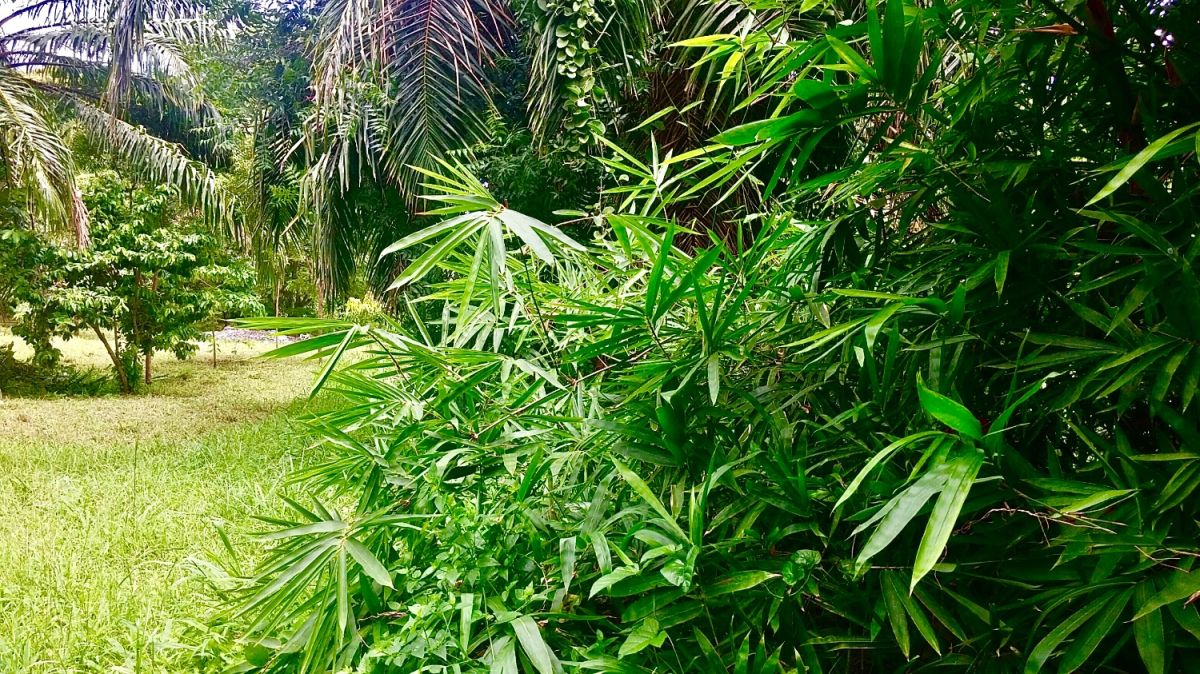 Land for lease , Commercial space for rent Tanzania