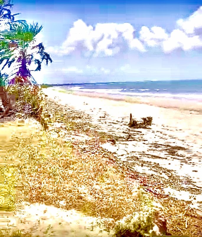 Large beach plot for sale, Land for sale Tanzania