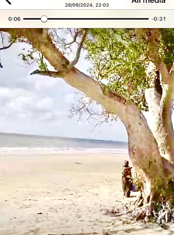 Large beach plot for sale, Land for sale Tanzania