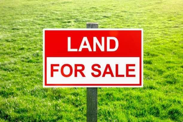 Terrain 1000m2 à vendre à Bonaberi Douala 