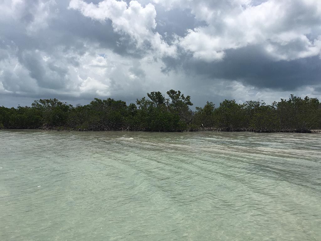 22 acres island property for sale on hicks caye, belize, Land for sale