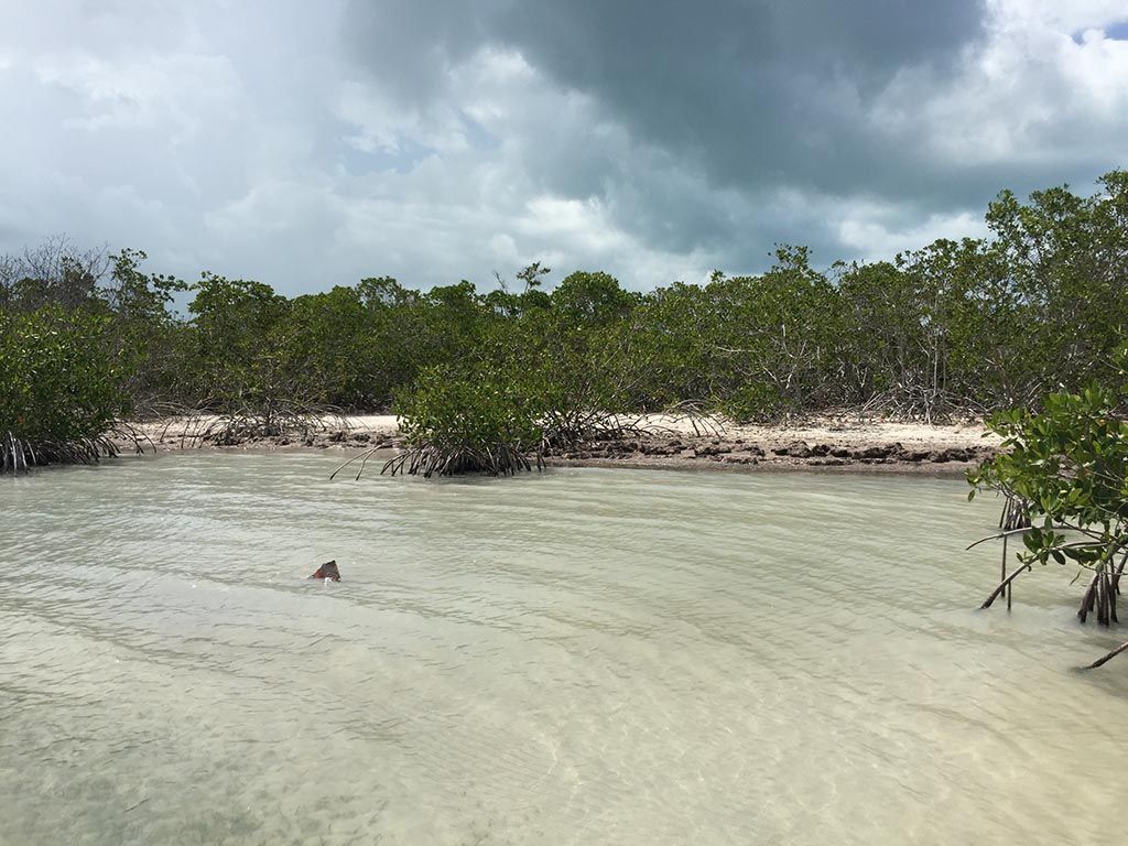 22 acres island property for sale on hicks caye, belize, Land for sale