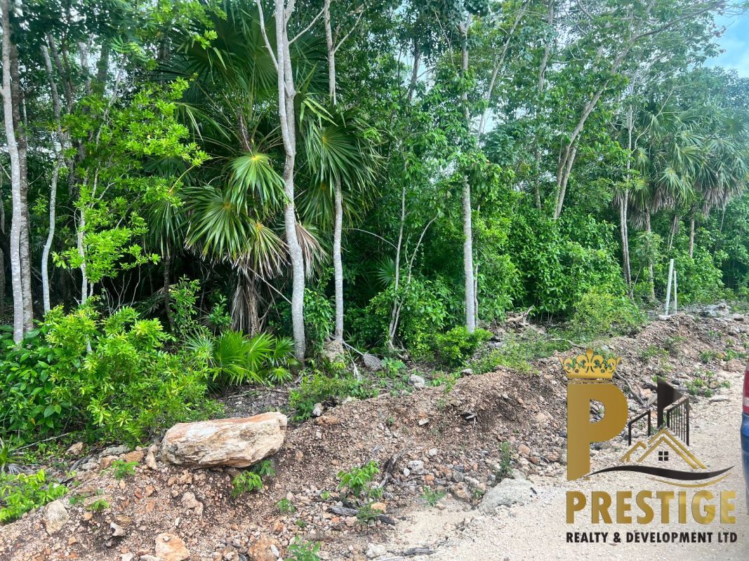 1 acre for sale in los pinos area sarteneja village corozal belize