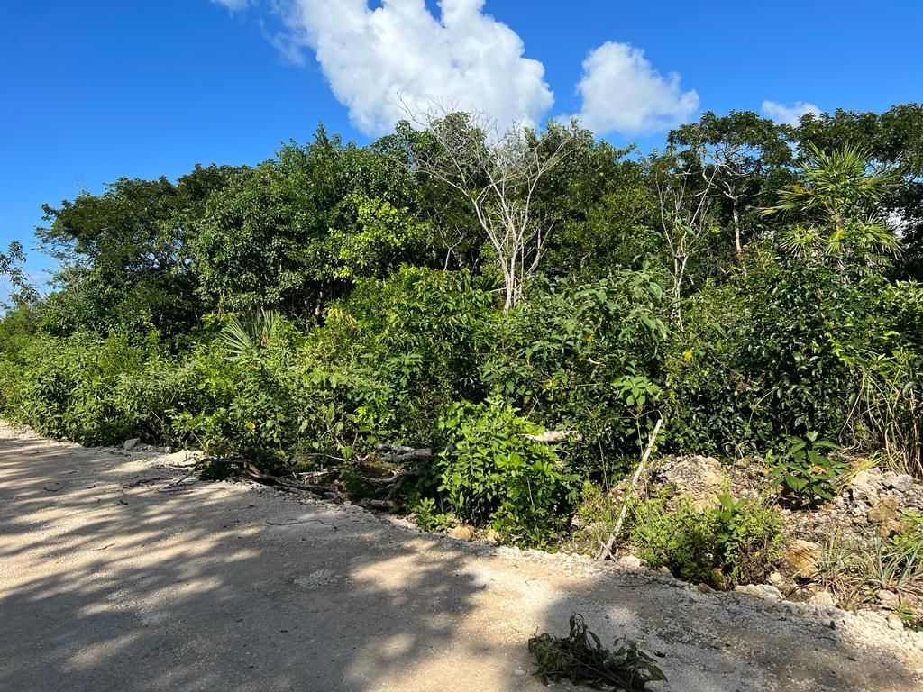 1 acre for sale in los pinos area sarteneja village corozal belize