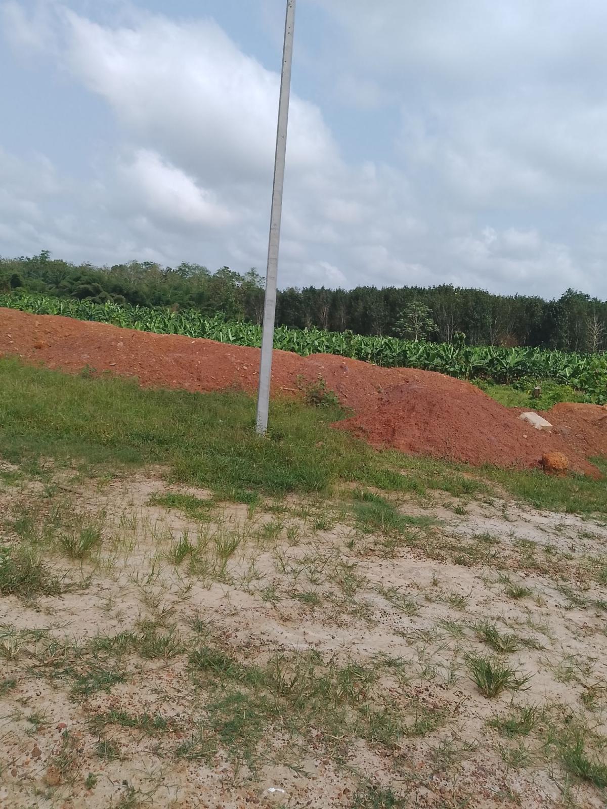 Terrains 400 m2 à Anyama- Thomasset à 300 mètres