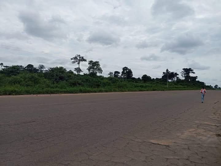 Yamoussoukro parcelle 12 hectares en bordure de voie possibilité de morceler 