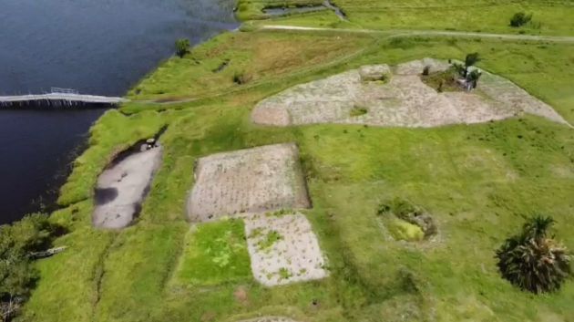 PLOT OF 01 AND A HALF HECTARE FOR SALE IN PAHOU NEAR THE BRIDGE THAT RELIS ...