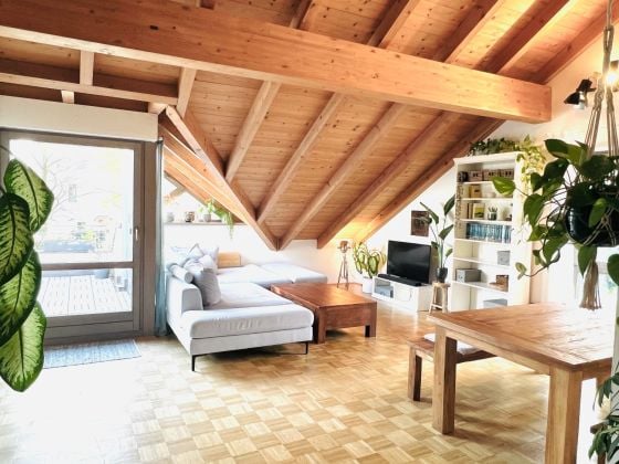 Exclusive penthouse apartment with gallery and rooftop terrace - Munich ...