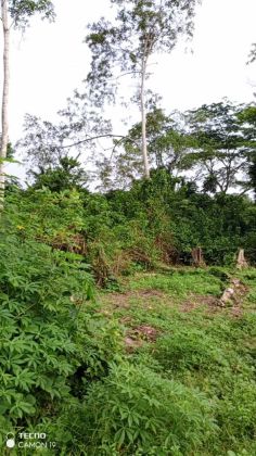 Parcelle 30 hectares à Becedi-Brignan