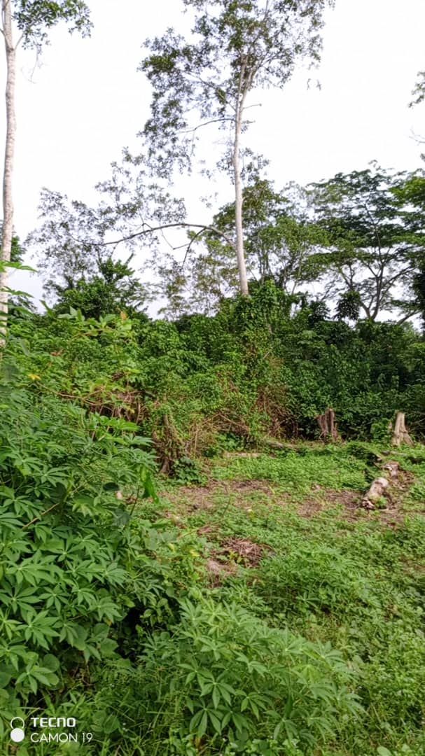 Parcelle 30 hectares à Becedi-Brignan