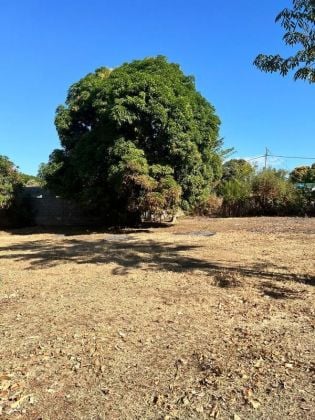 VENTE TERRAIN PLAT 3650 M² - Majunga (Madagascar)