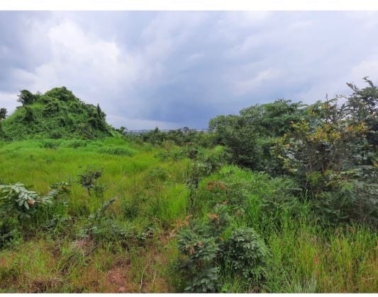 Farming Land for Sale - Prime Location! 