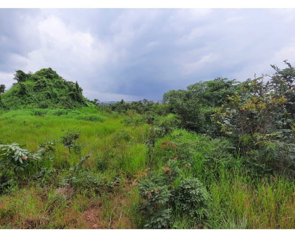 Farming Land for Sale - Prime Location! 