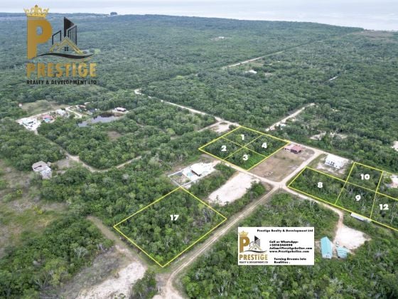 0.36 Acre Lots for sale off Serenity Road Corozal 