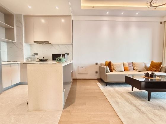 Brand New !! new Flats for expats to rent /Service apartment 2 ...