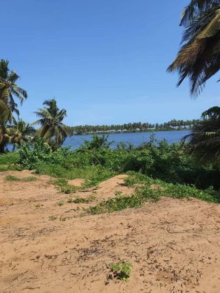 Terrain en vente grand bassam mondoukou 