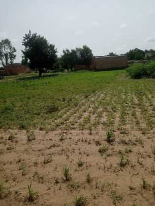 UNE PARCELLE DE DE 450M² EN VENTE  A TANGHIN DASSOURI