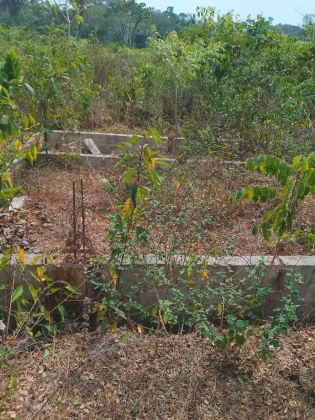 Parcelle 05 hectares à Abié