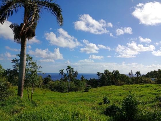 FOR SALE in CABRERA Land of 8,493 meters – OPPORTUNITY TO SEIZE