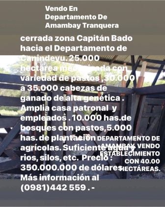 DEPARTAMENTO DE AMAMBAY ENTRE CAPITAN BADO Y DEPARTAMENTO DE YCUAMANDIYU.  ...