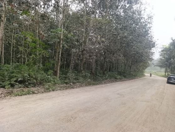 In vendita Terreno 16 ettari North Highway Pk38