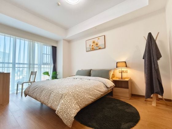 Excellent！！apartment rent/service apartment/2 rooms