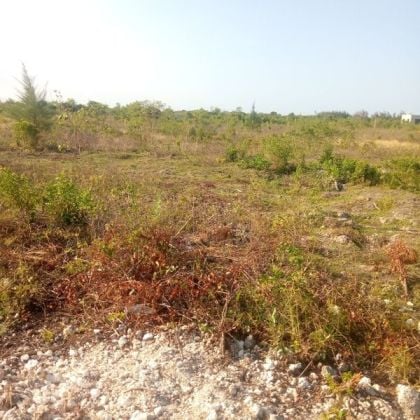 Paje land for sale