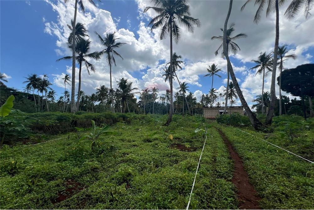 Kiboje fertile land for sale