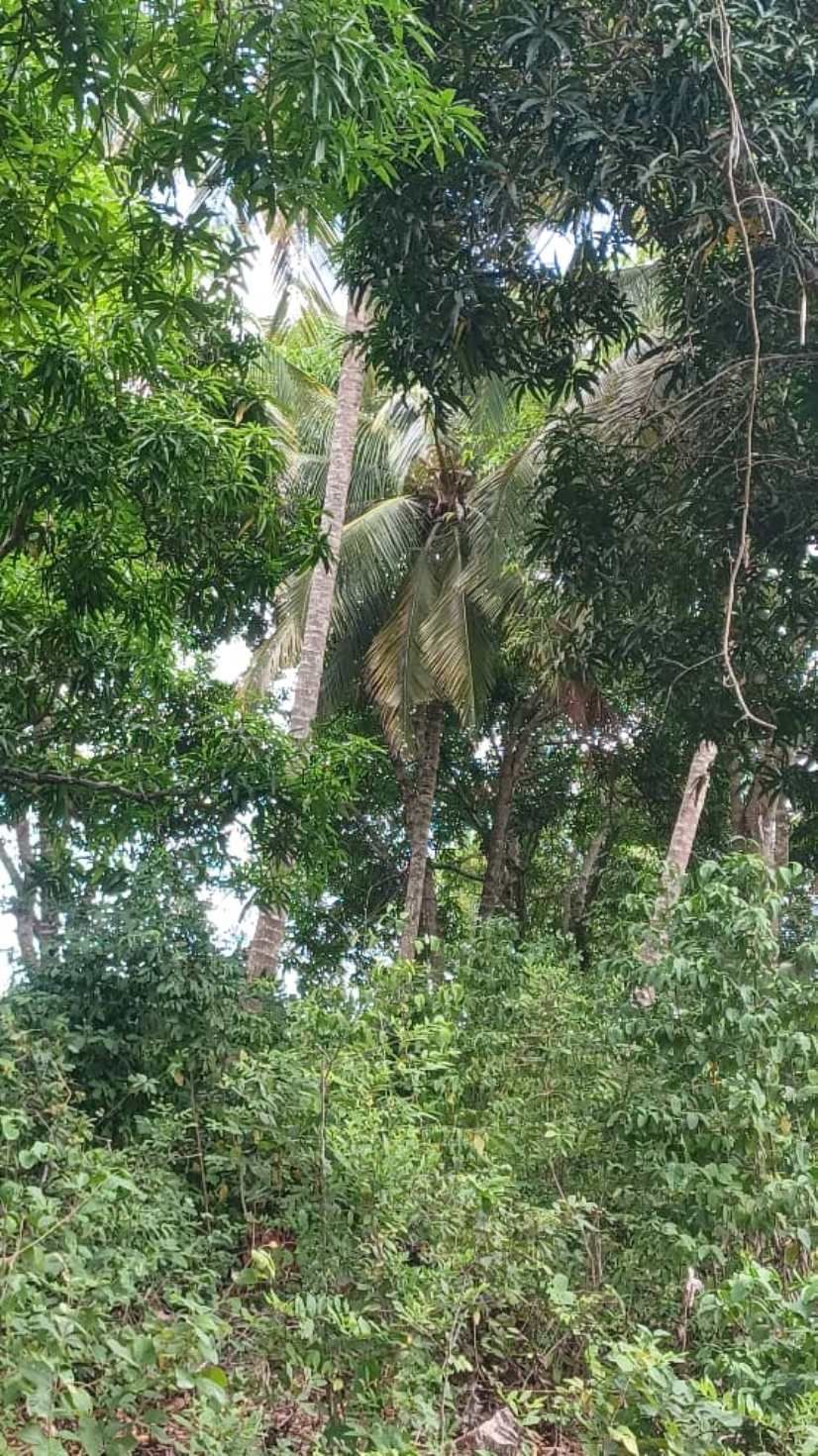 Muungoni land for sale