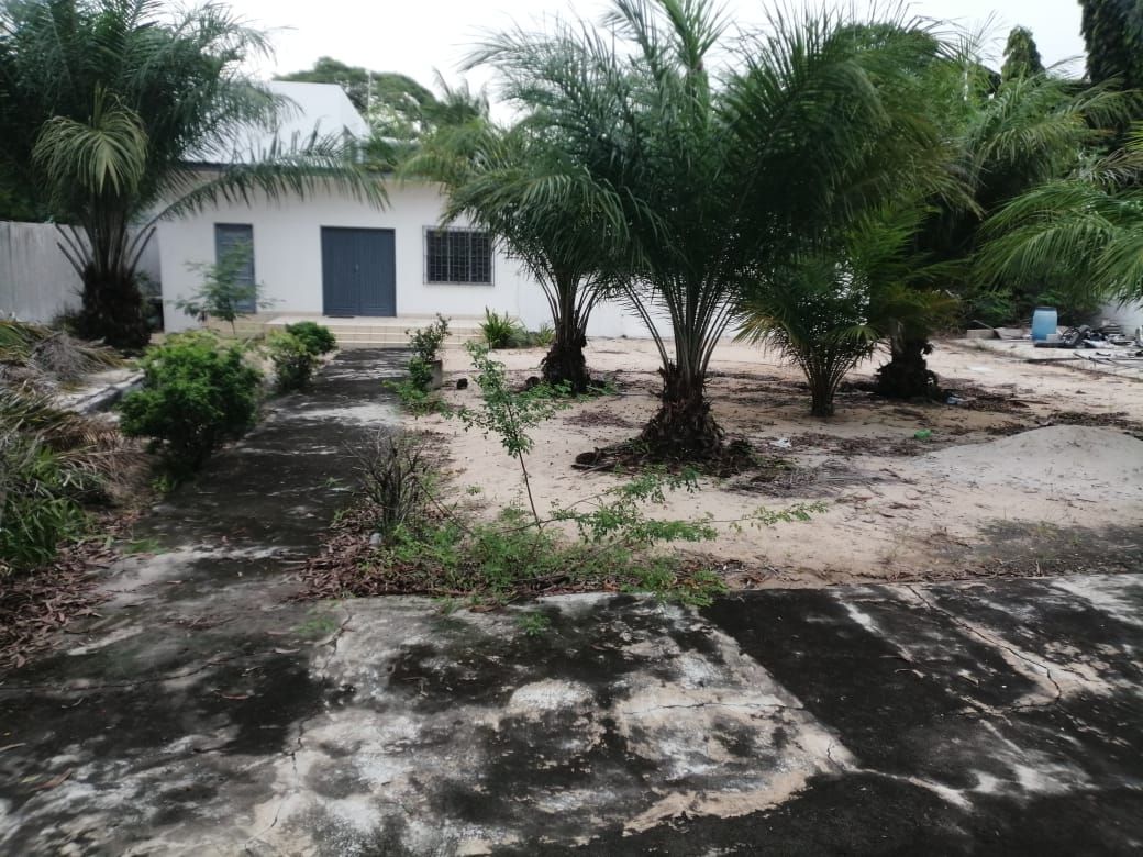 PARCELLE DE GRANDE SUPERFICIE A VENDRE DANS LA HAIE VIVE 