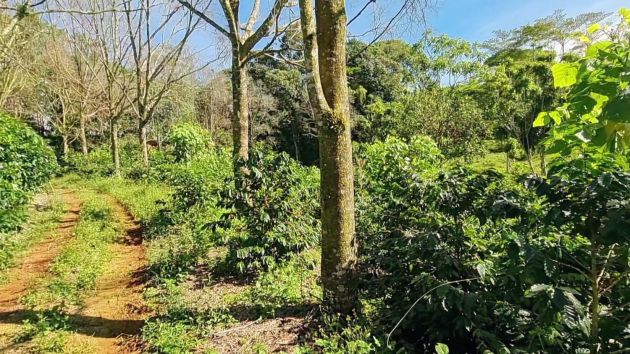 Lote en venta en Santa Elena de El General. 