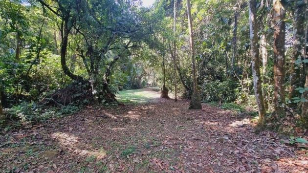 Se vende propiedad en Quizarrá, Pérez Zeledón. 