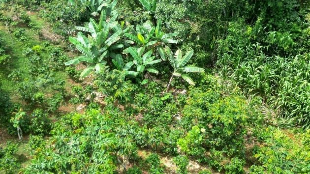 Terreno en Venta en Costa Rica – 2 Hectáreas Cerca de RISE!