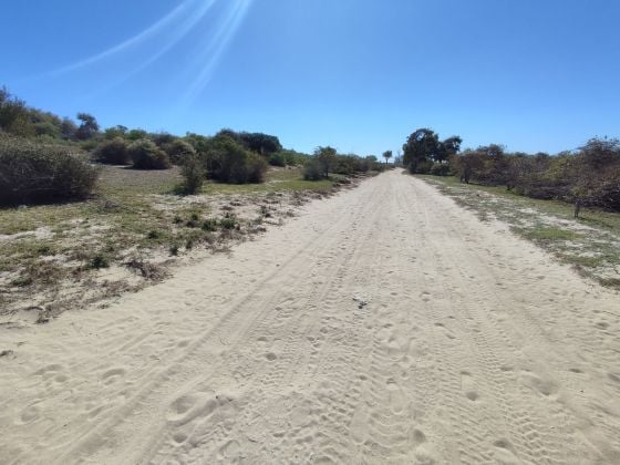 Terreno cultivado junto al mar en venta – Salary Nord, Toliara, ...